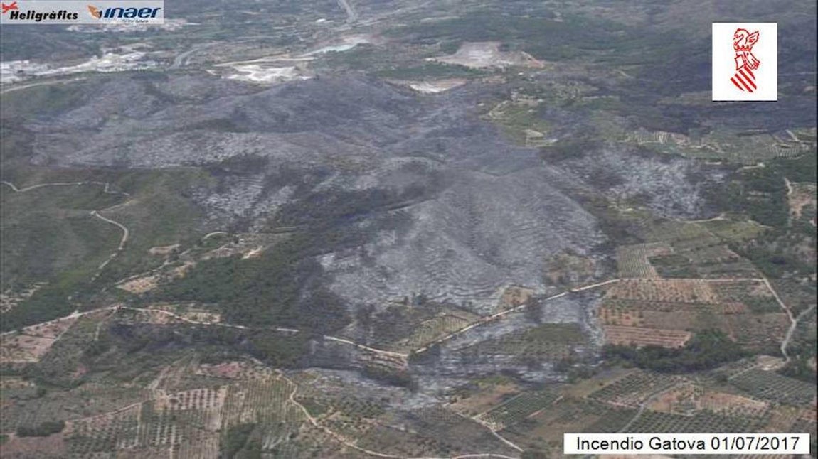 Aspecto del monte tras el incendio. 