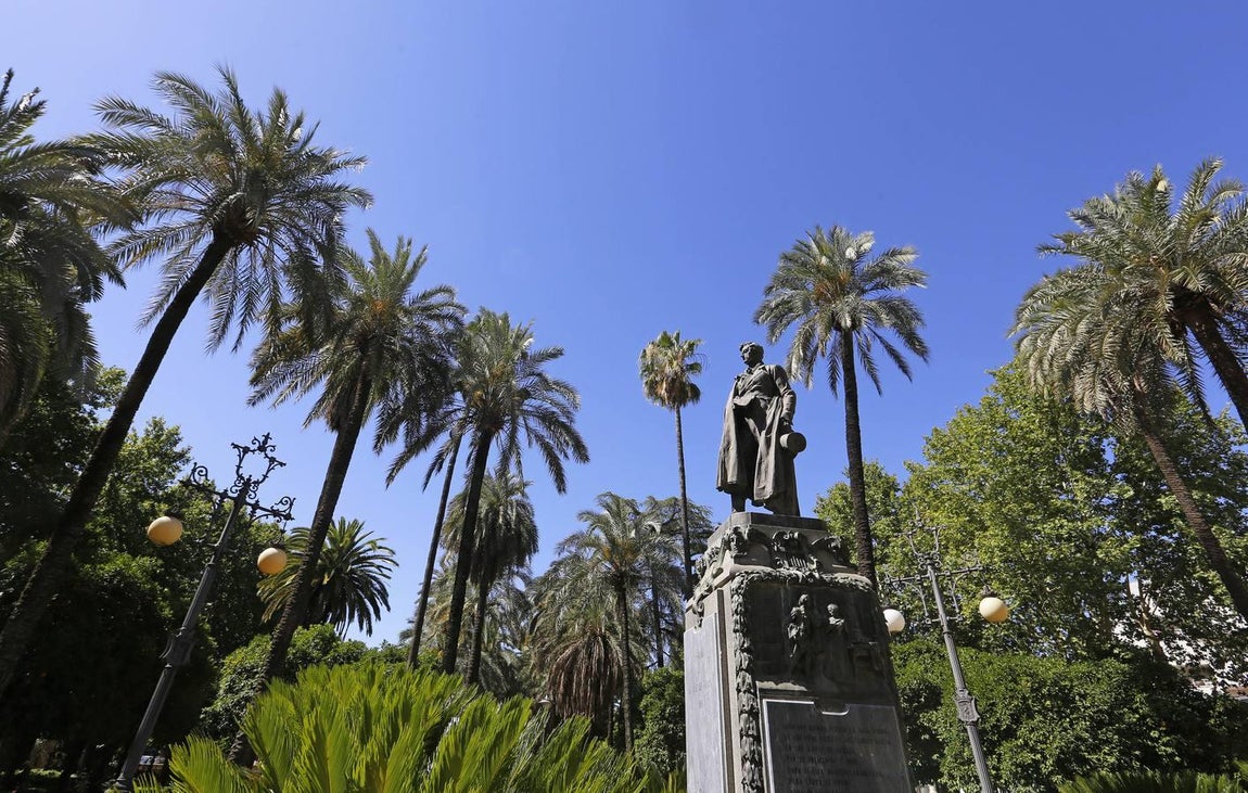 Recorrido visual por los árboles de Córdoba