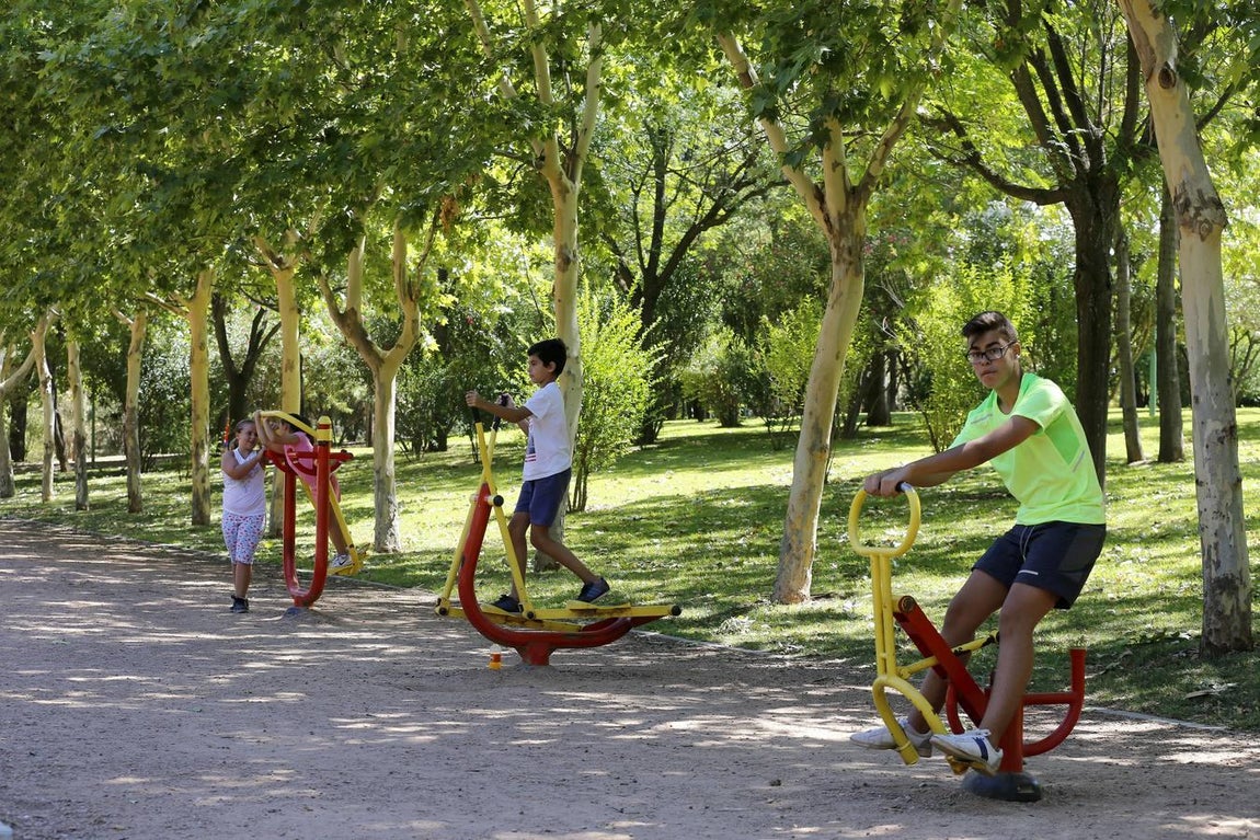 Recorrido visual por los árboles de Córdoba