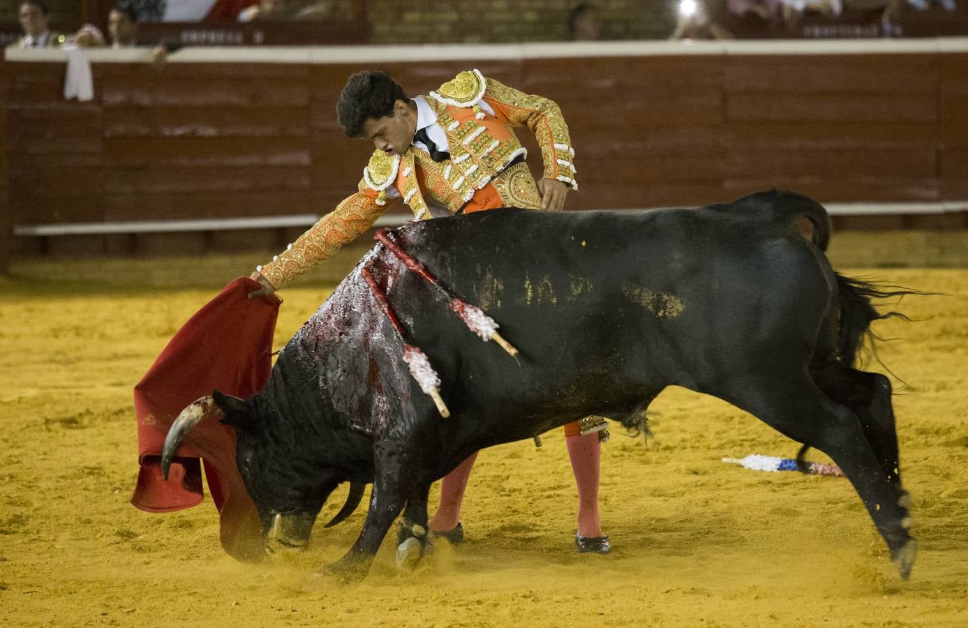 Novillada de las Colombinas con acento sevillano