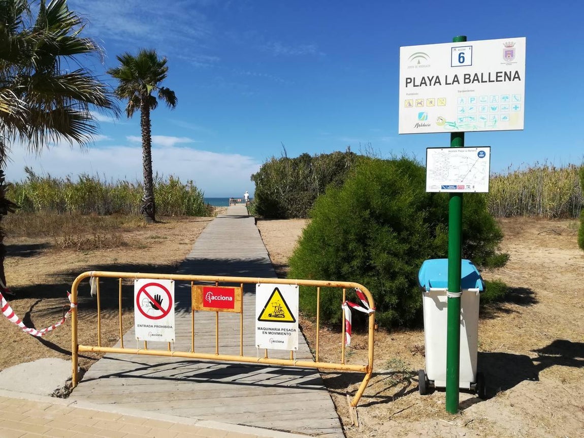 FOTOS: Obras regeneración playa La Ballena