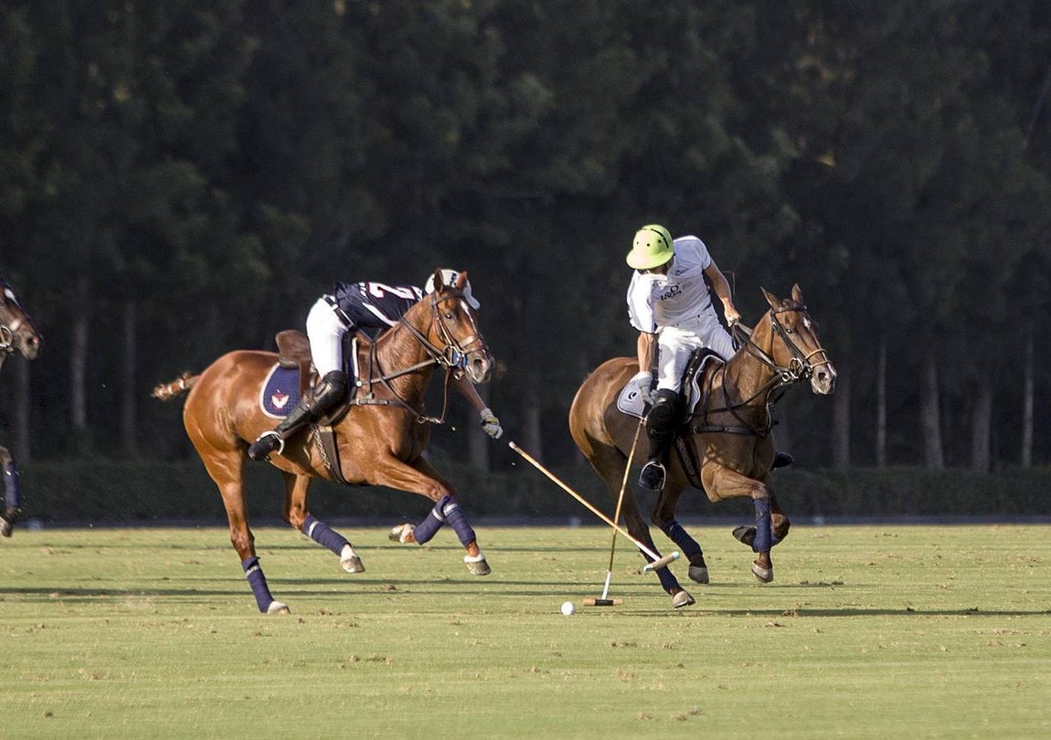 Las mejores imágenes del Torneo de Polo en el Santa María Club
