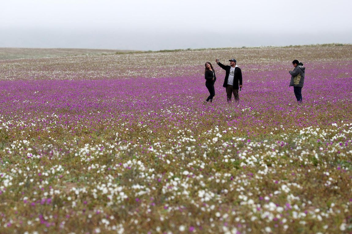Atacama es uno de los más áridos y soleados. 