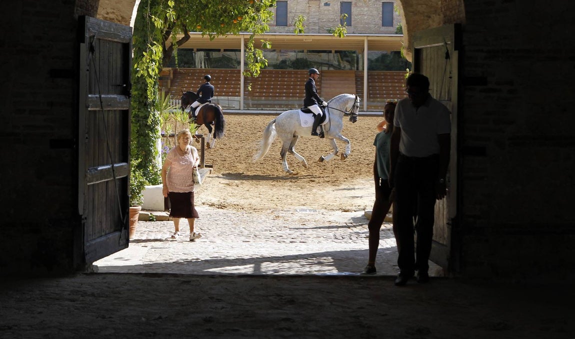 El primer día del Concurso Nacional de Doma Clásica, en imágenes