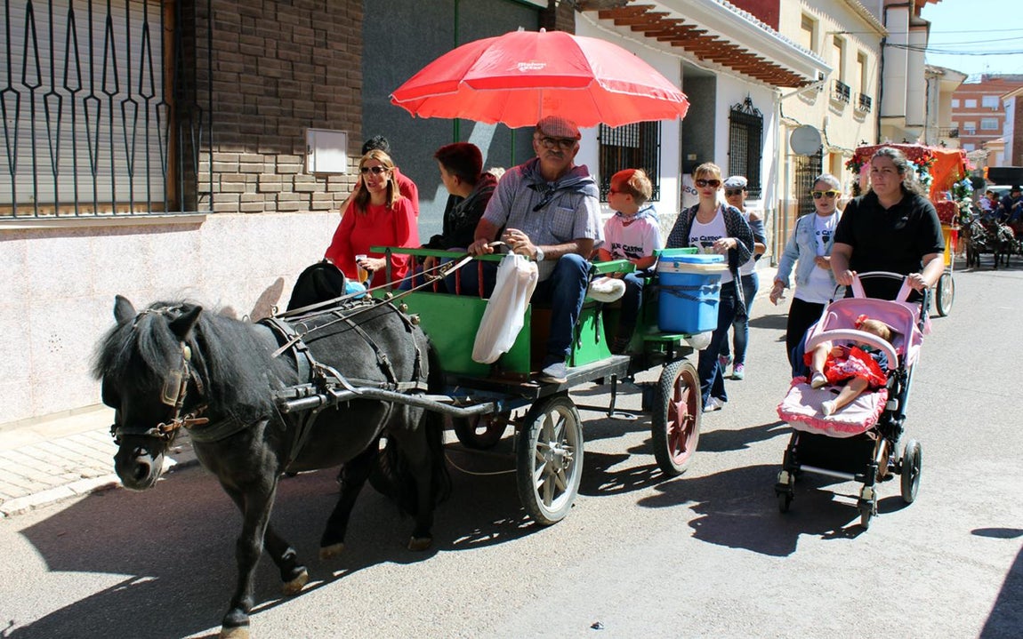 El «Día de Carros», en imágenes