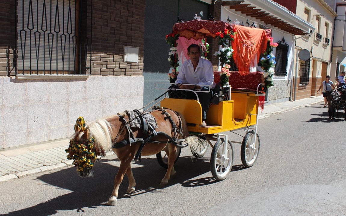 El «Día de Carros», en imágenes