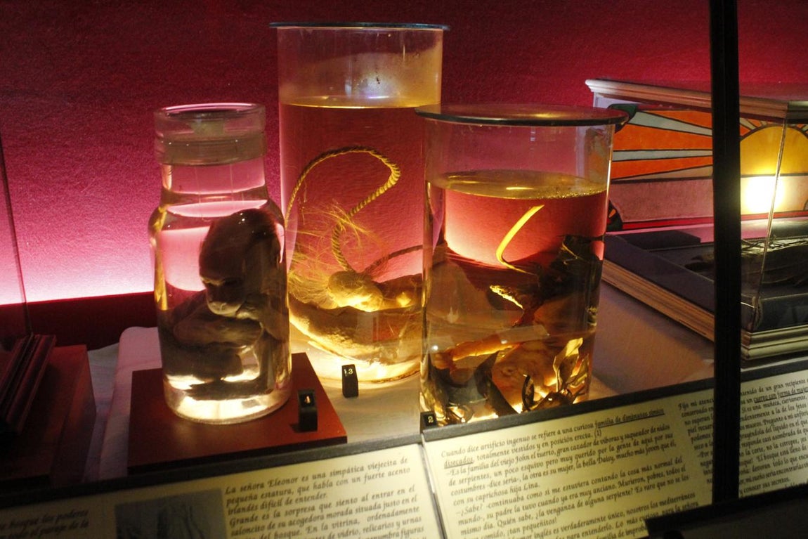 La muestra sobre brujería en Toledo, en imágenes