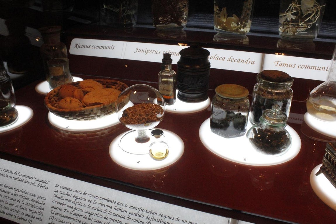 La muestra sobre brujería en Toledo, en imágenes