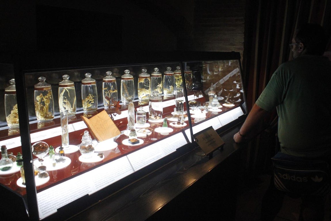 La muestra sobre brujería en Toledo, en imágenes