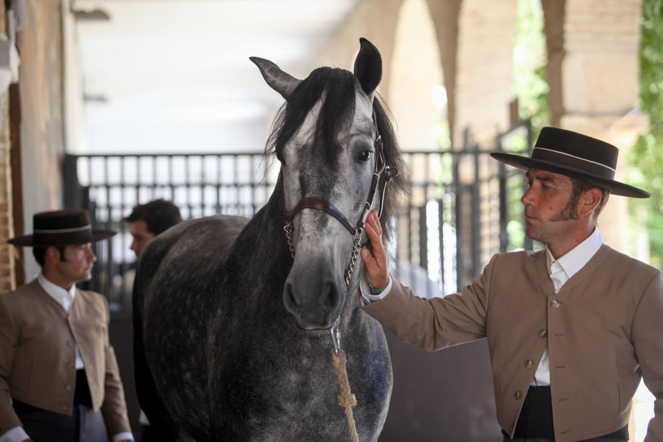 Las mejores imágenes de la jornada inaugural de Cabalcor