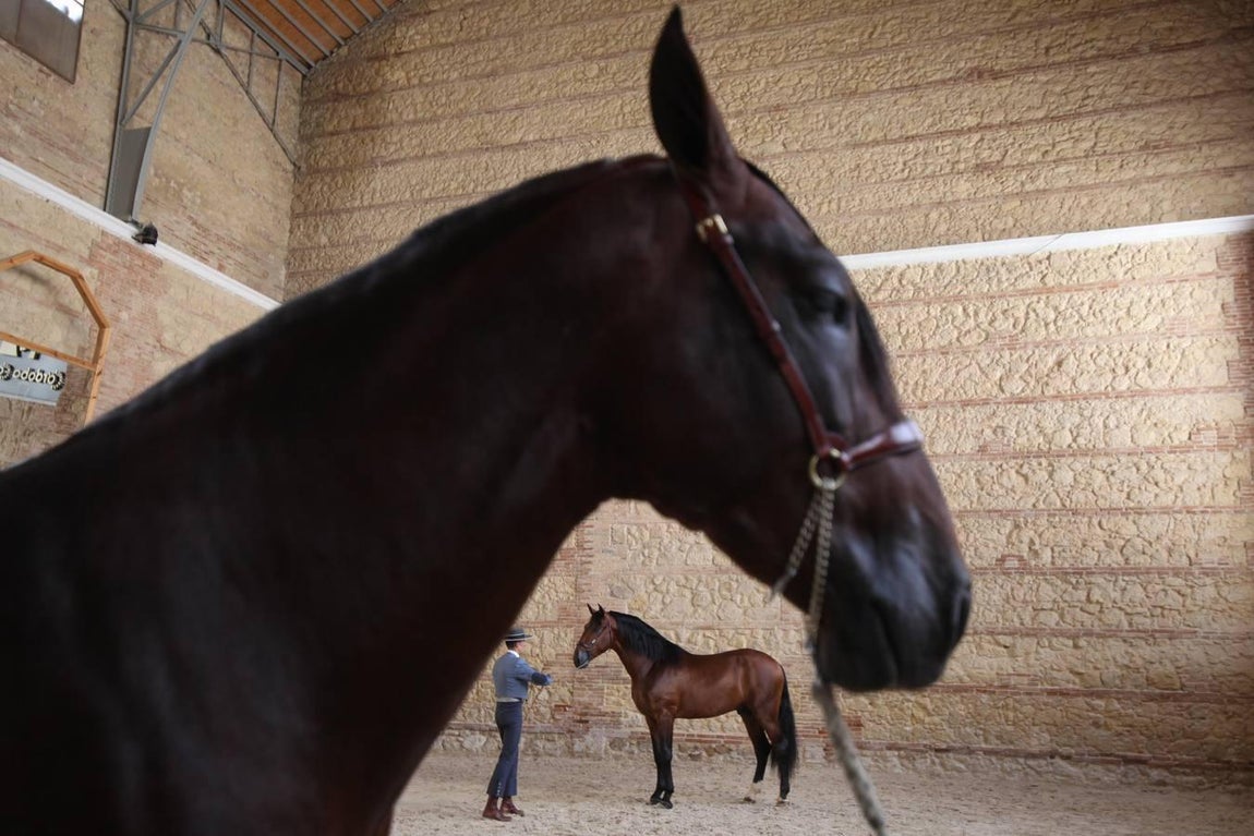 Las mejores imágenes de la jornada inaugural de Cabalcor
