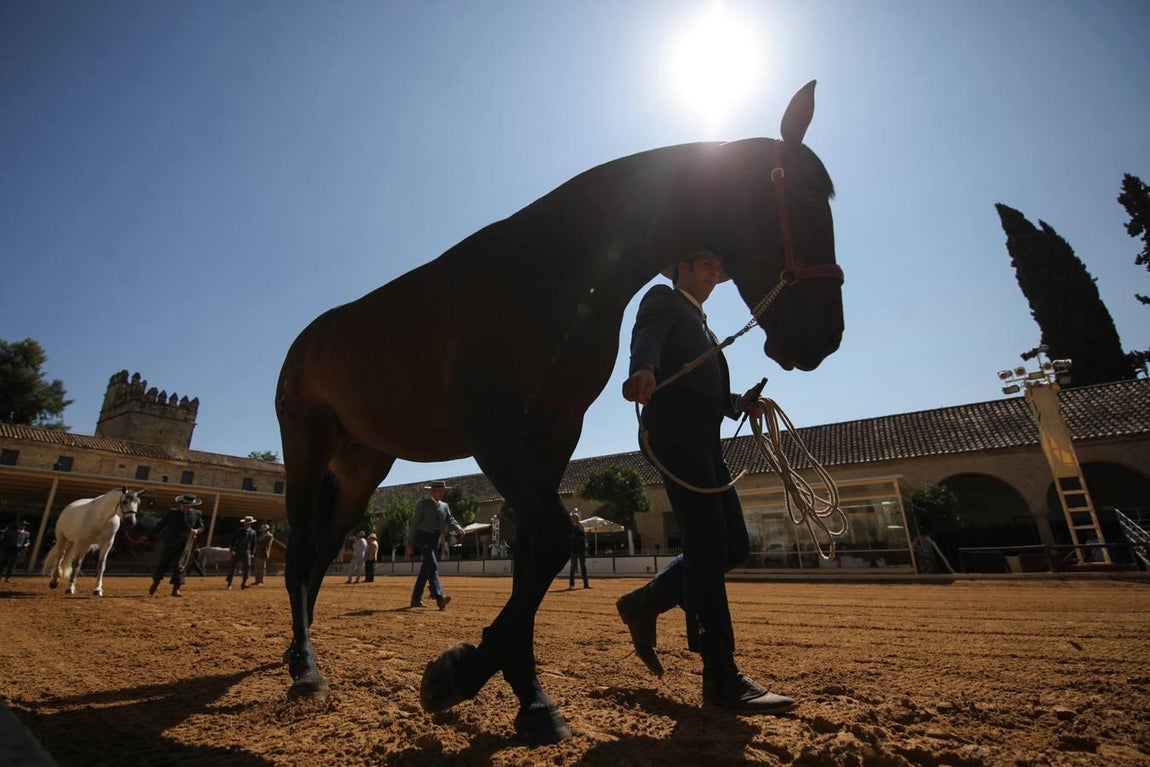 Las mejores imágenes de la jornada inaugural de Cabalcor