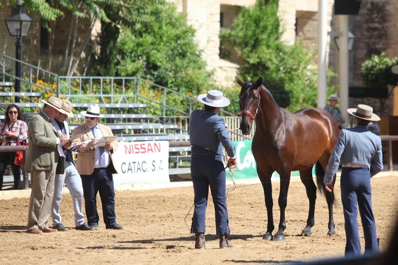 Las mejores imágenes de la jornada inaugural de Cabalcor