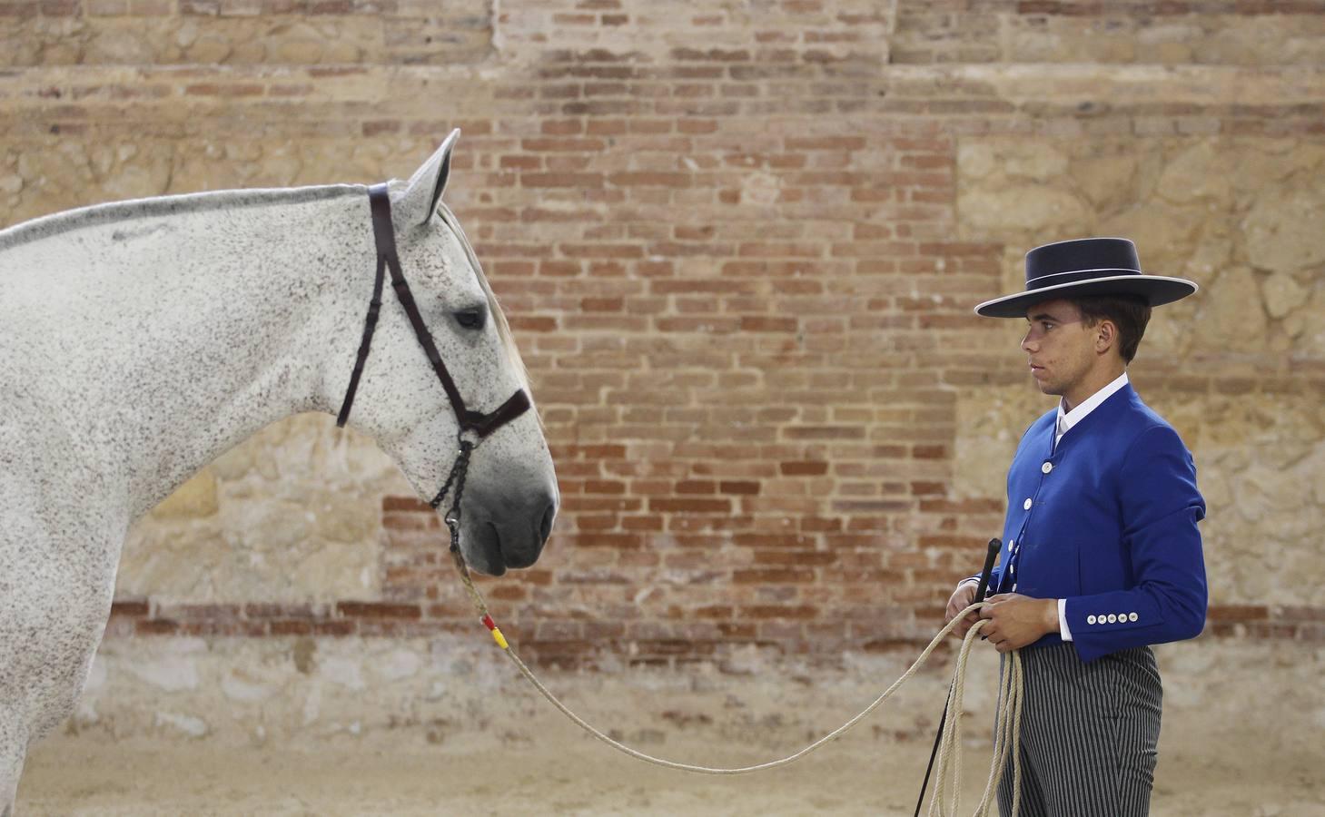 Los atalajes se lucen en Cabalcor