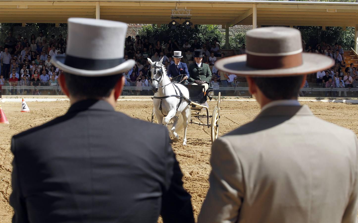 Los atalajes se lucen en Cabalcor