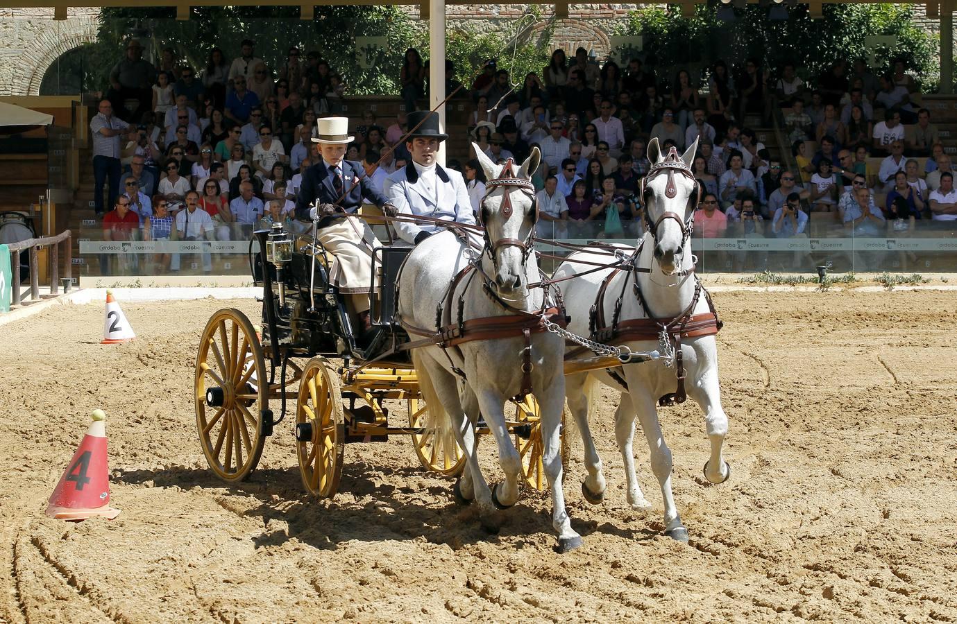 Los atalajes se lucen en Cabalcor