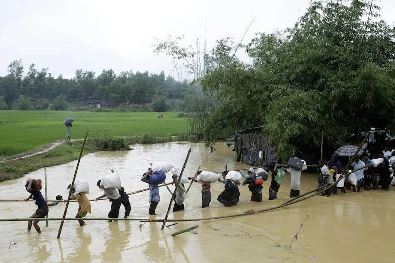 Refugiados rohingyas, pertrechados con sus pertenencias, cruzan un canal por un puente hecho con cañas de bambú en Bangladesh.. 