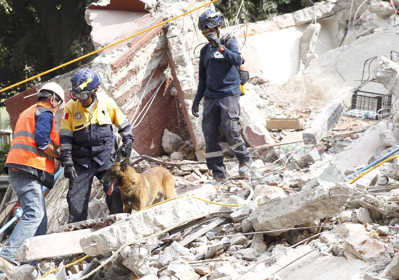 Las dramáticas imágenes del rastro dejado por el último terremoto en México. 