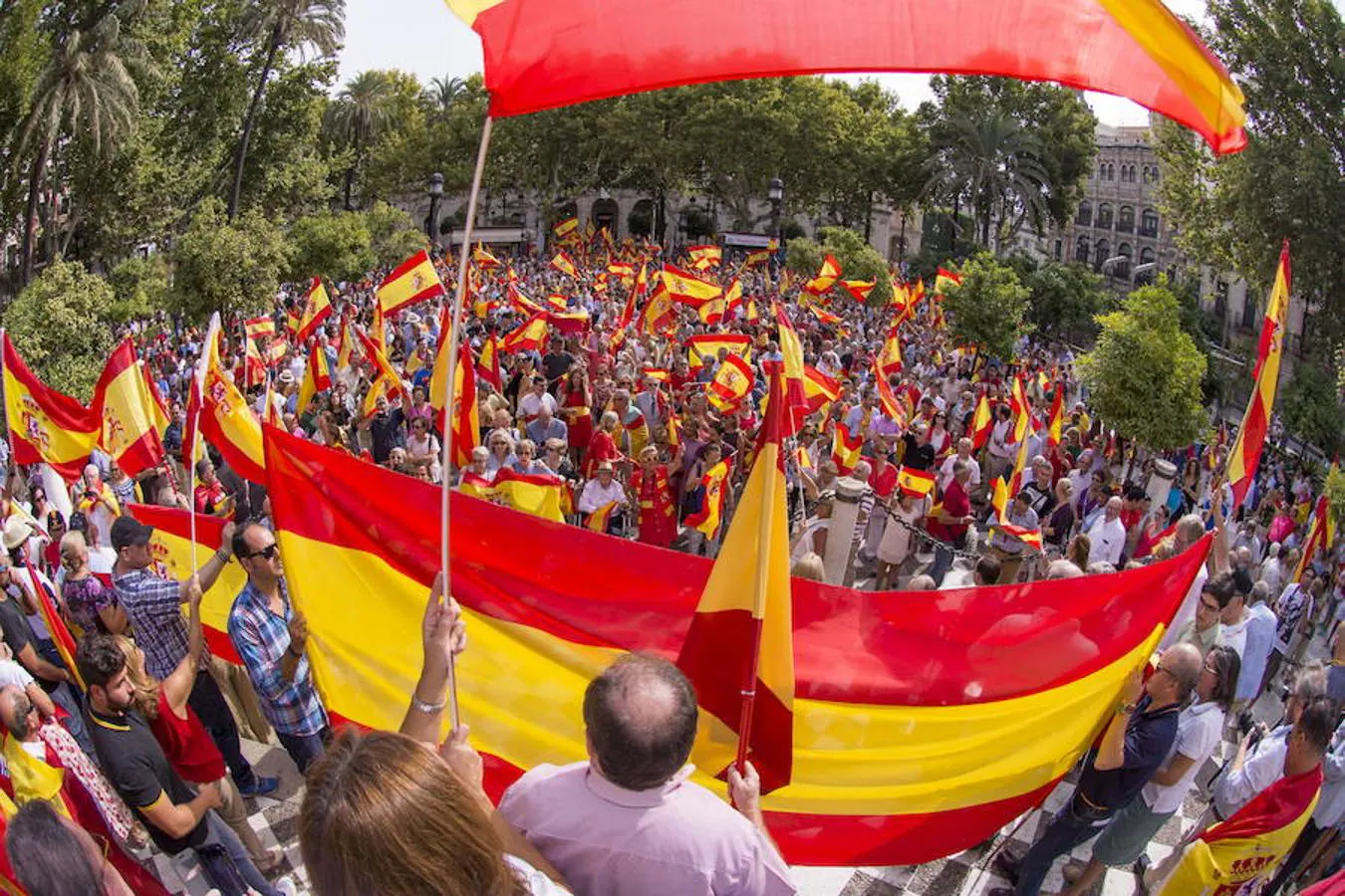 Miles de personas han salido hoy a la calle en Sevilla con banderas españolas en demanda de la unidad de la nación y contra el referéndum catalán.. 