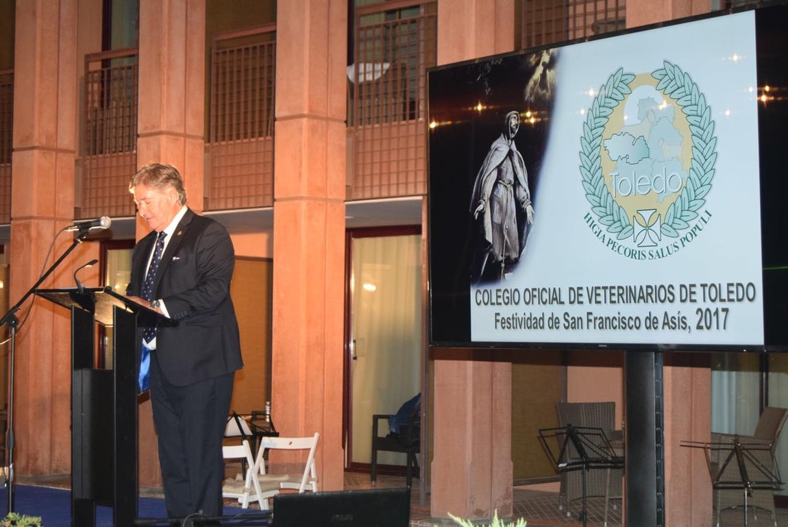El presidente del Colegio, Luis Alberto García Alía, durante su discurso. 