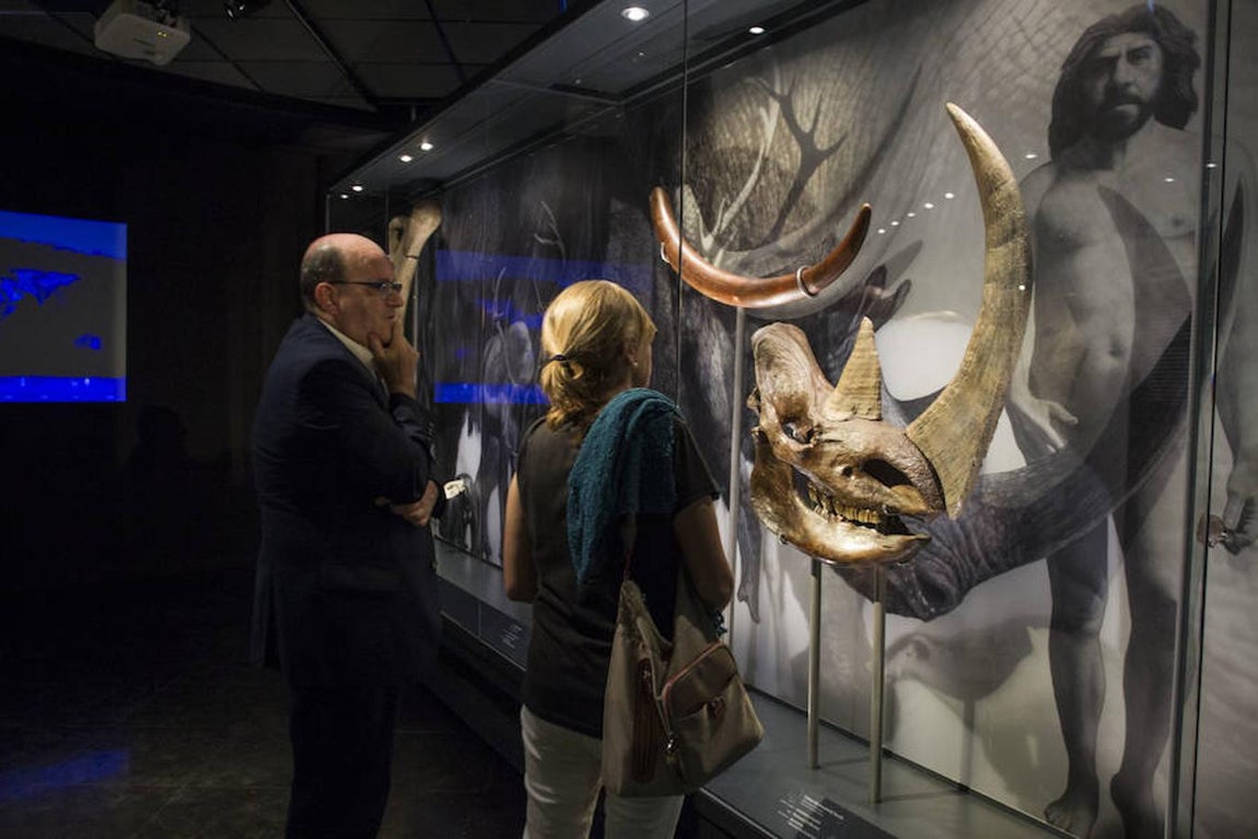 5.. La muestra «Cambio climático: comprender para sobrevivir» explica los distintos factores que influyen en el clima