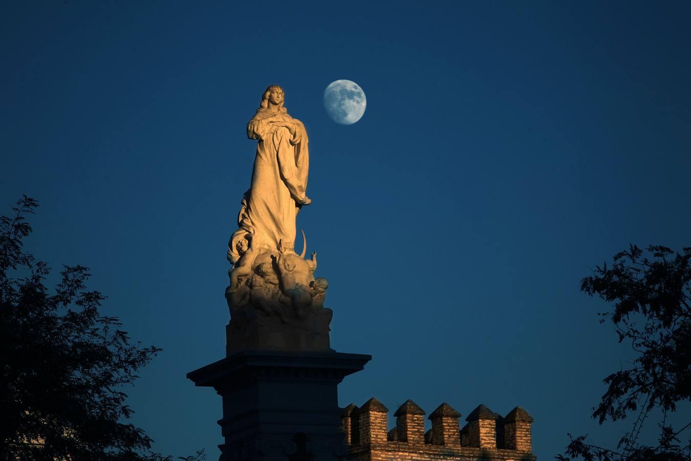 El Monumento de la Inmaculada de la Plaza del Triunfo con la luna al fondo