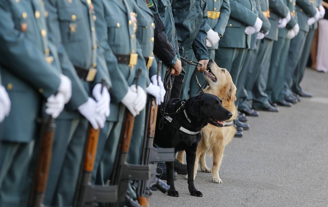 El desfile de la Guardia Civil de Córdoba, en imágenes