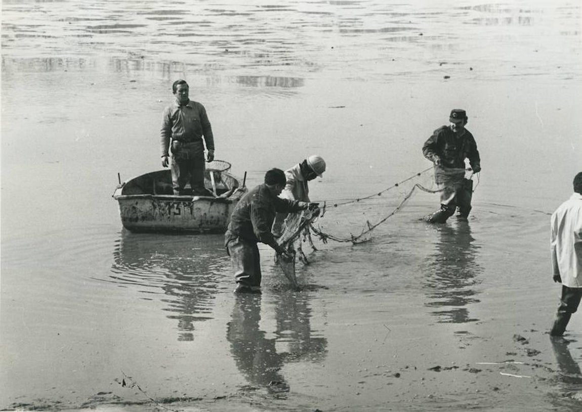 2. La última vez que se drenó el lago de la Casa de Campo, en 1982, fueron salvadas 6.000 carpas