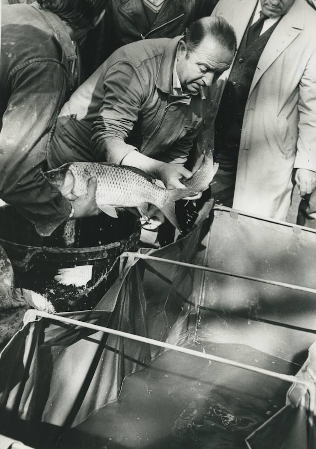 3. Censo de carpas del lago de la Casa de Campo en 1982