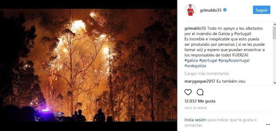 Los famosos se solidarizan con los afectados por los incendios
