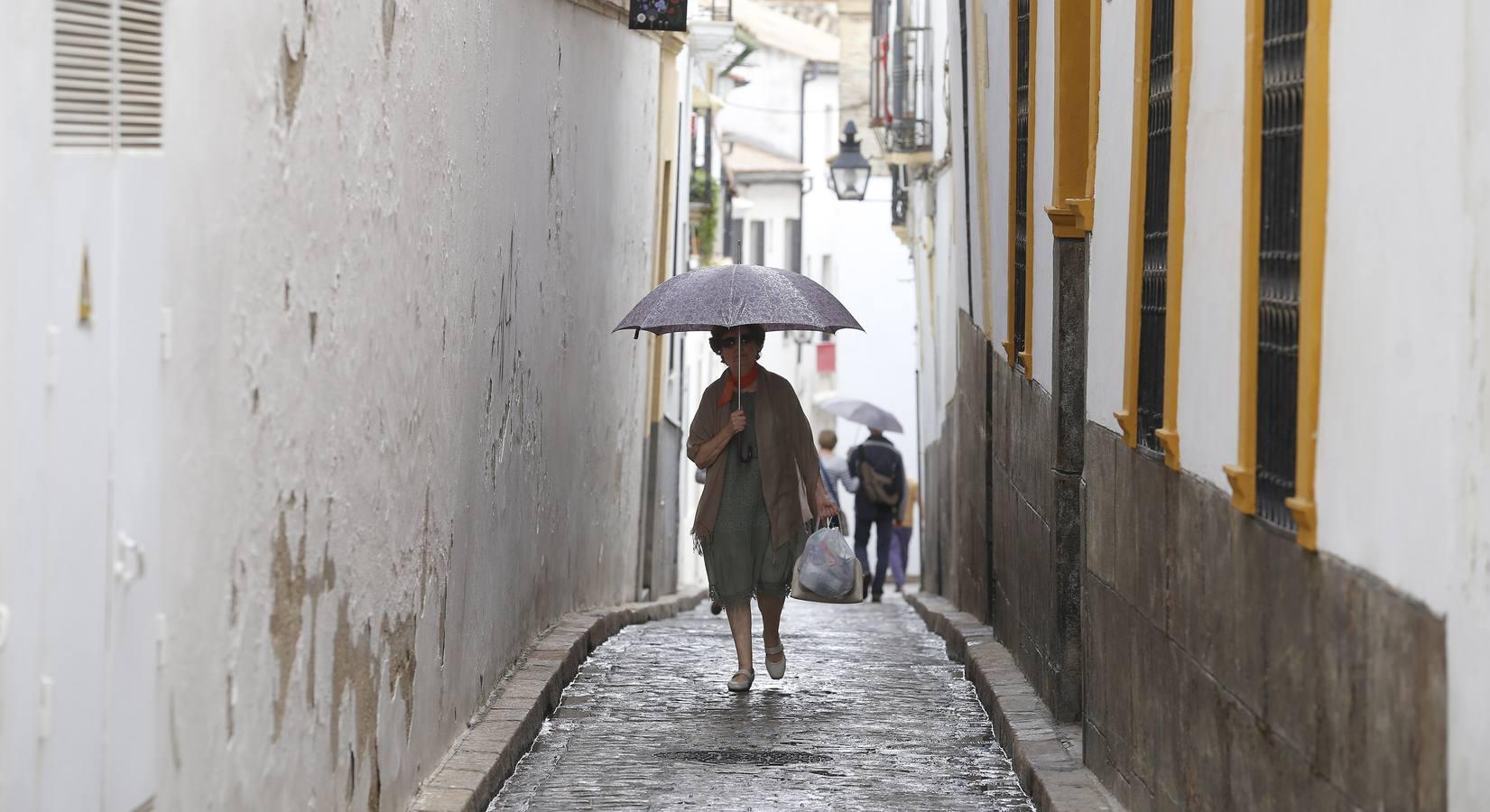 Las primeras lluvias del otoño en Córdoba, en imágenes