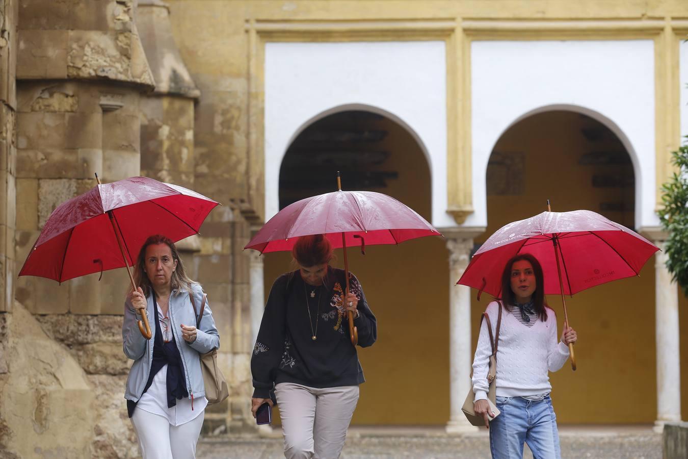 Las primeras lluvias del otoño en Córdoba, en imágenes