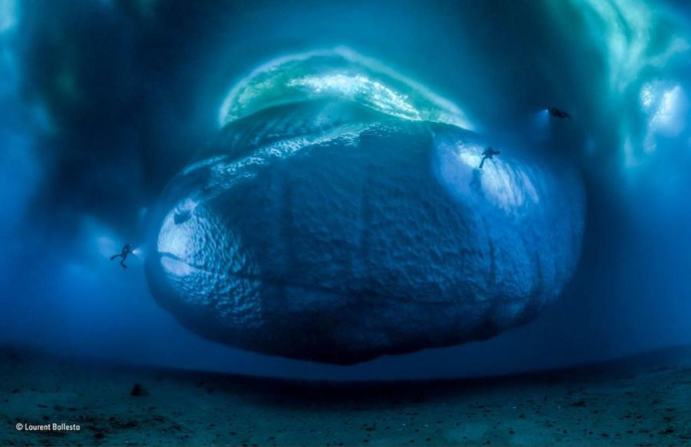Este iceberg se ha impuesto en la categoría «Earth’s Environments». Laurent Ballesta