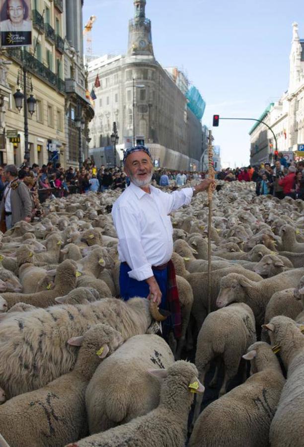 3. Fiesta de la Trashumancia por las calles de Madrid