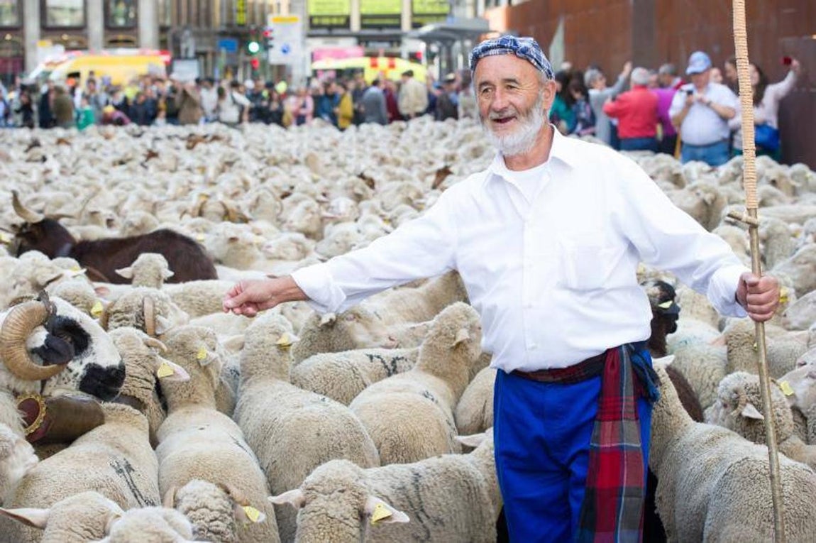 7. Fiesta de la Trashumancia por las calles de Madrid