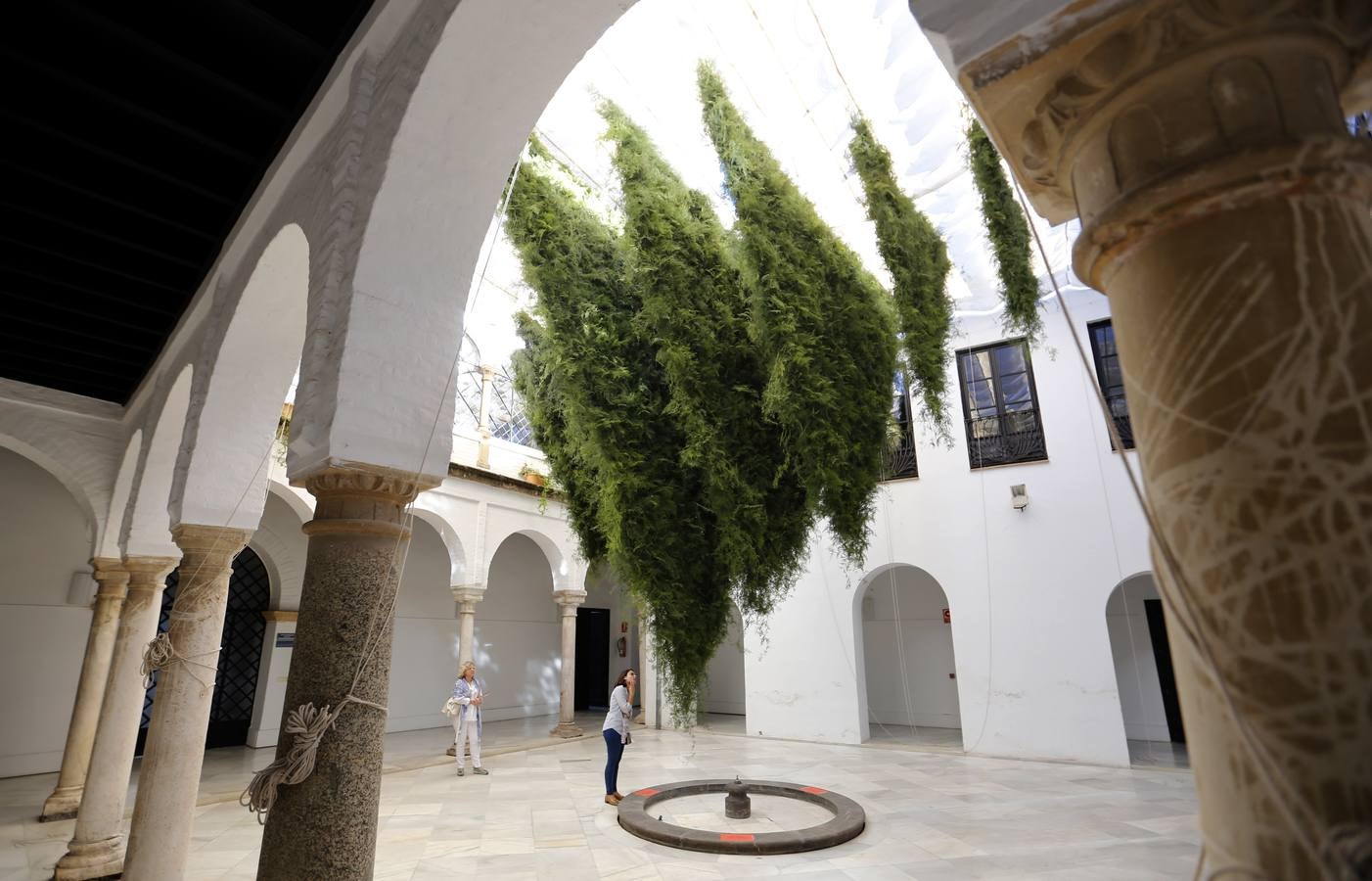 Ruta en imágenes por el Festival Flora de Córdoba 2017