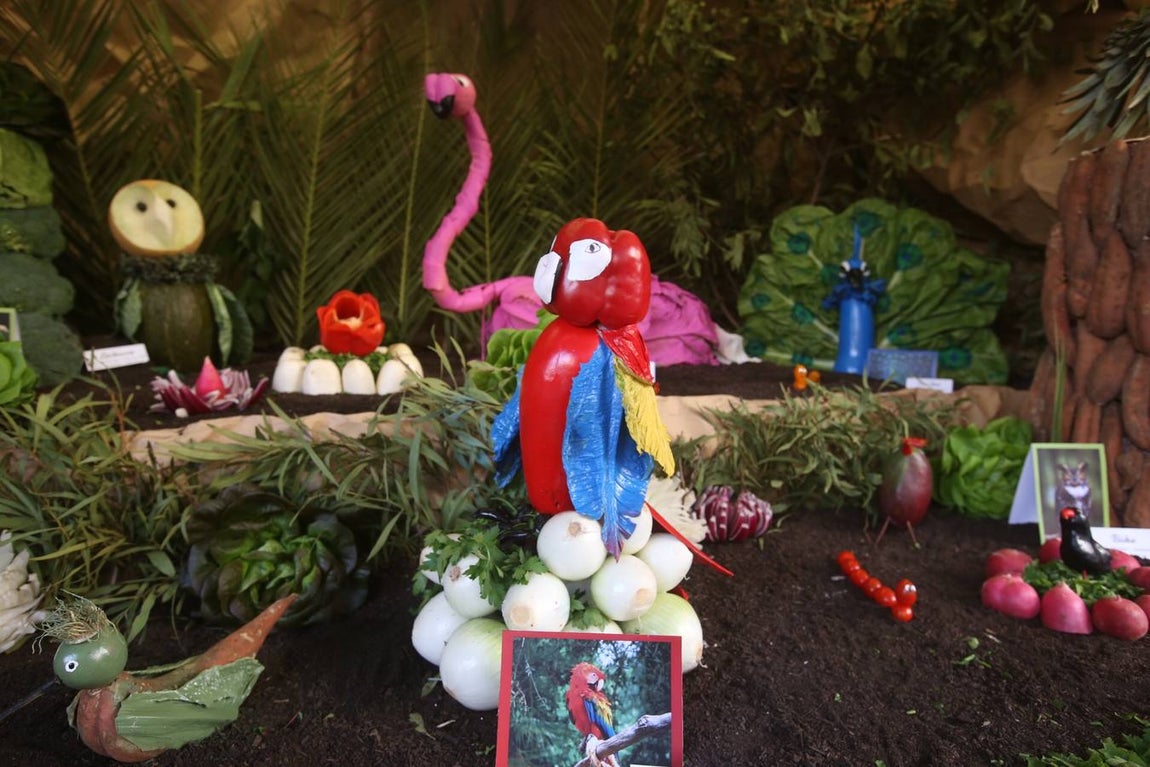 Fotos: Cádiz celebra los Tosantos 2017