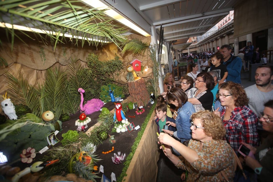 Fotos: Cádiz celebra los Tosantos 2017