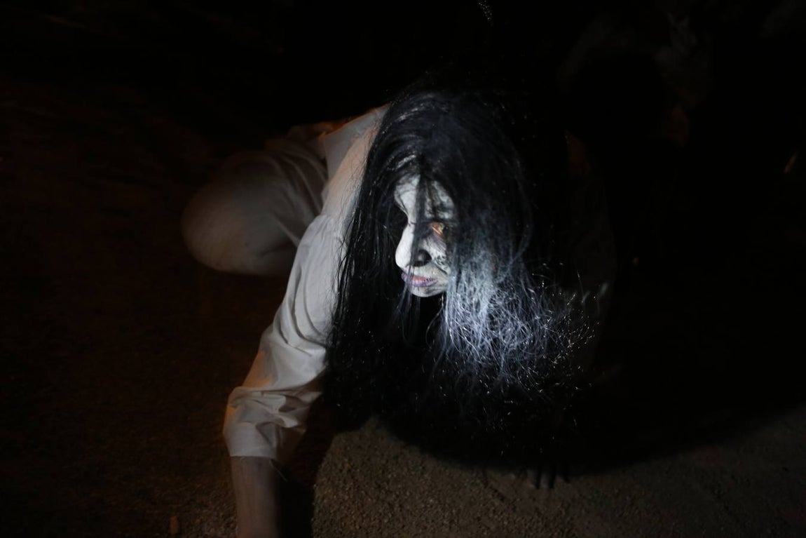 Fotos: El terror de apodera de Cádiz