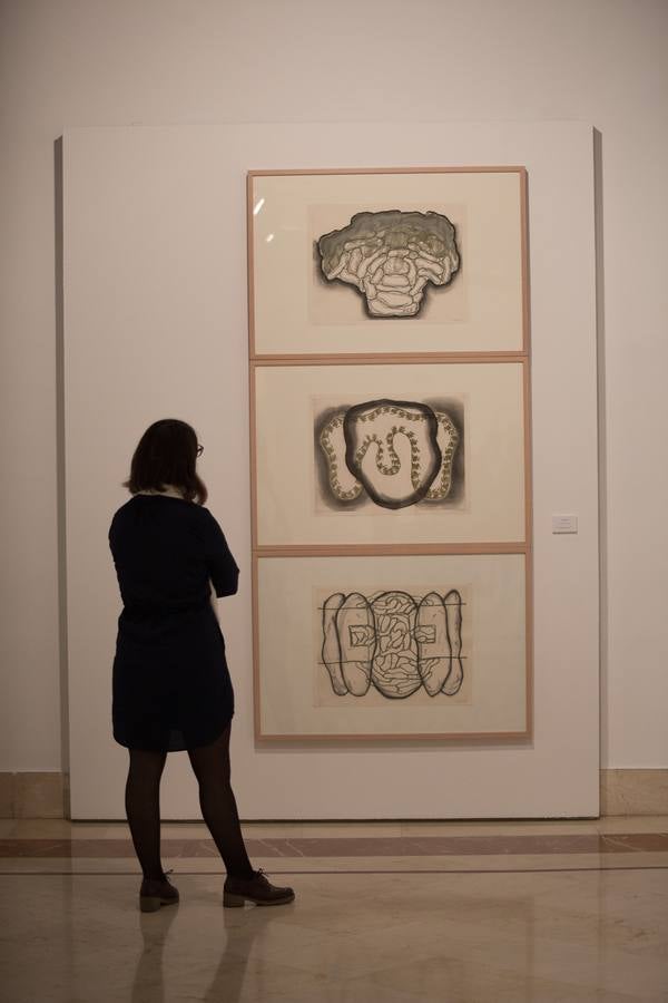 El perfil más contemporáneo de la Fundación Focus, en imágenes