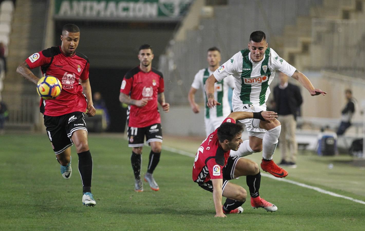 Las imágenes del Córdoba CF-Cultural Leonesa