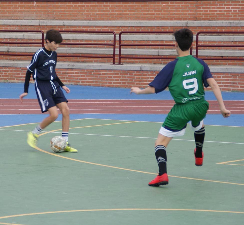 Las mejores imágenes del partido de fútbol sala cadete masculino entre San Patricio Soto Azul y Maristas Chamberí