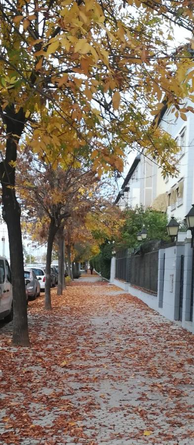 El otoño de Sevilla, según los lectores de ABC