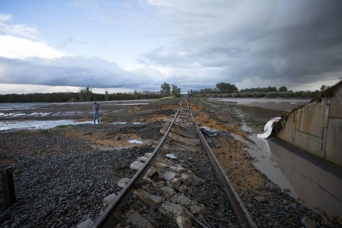 El accidente del tren Málaga-Sevilla en Arahal, en imágenes