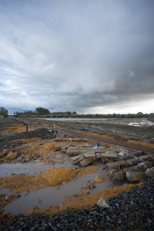 El accidente del tren Málaga-Sevilla en Arahal, en imágenes