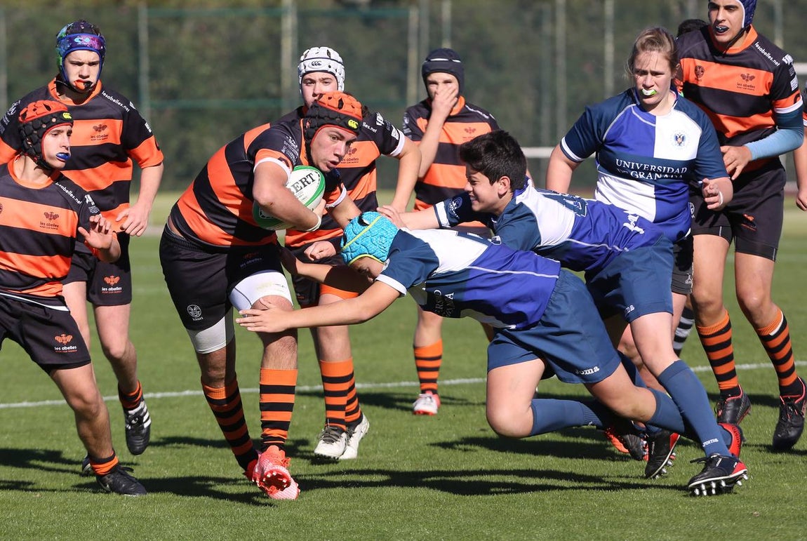 Barceló Montecastillo acoge el torneo &#039;No sin Rugby Fest 2017&#039;