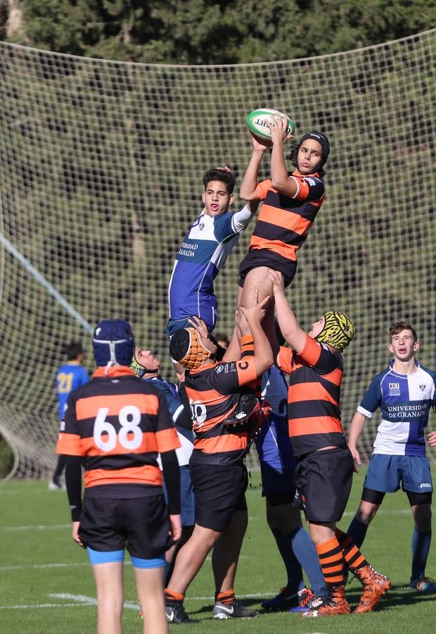 Barceló Montecastillo acoge el torneo &#039;No sin Rugby Fest 2017&#039;