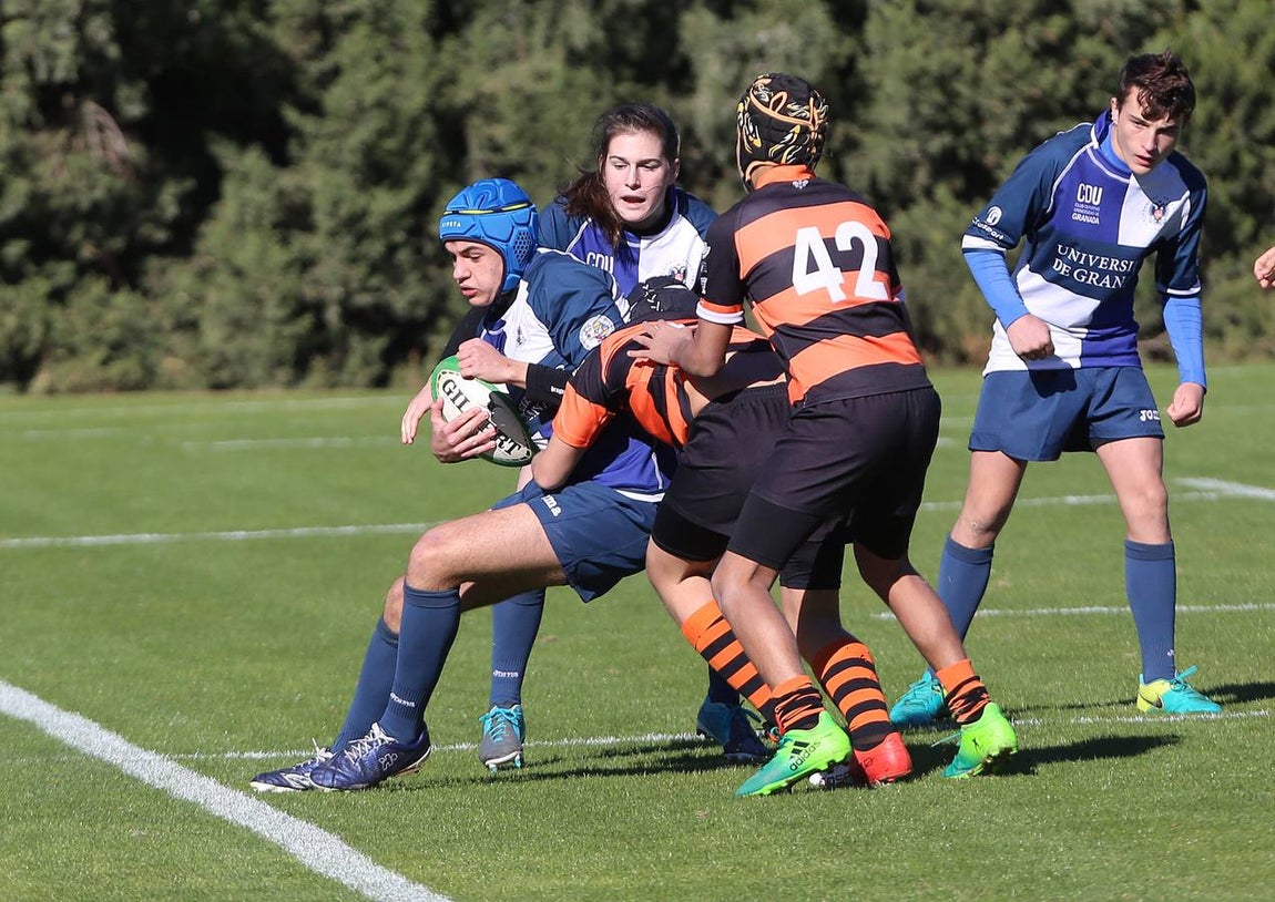 Barceló Montecastillo acoge el torneo &#039;No sin Rugby Fest 2017&#039;