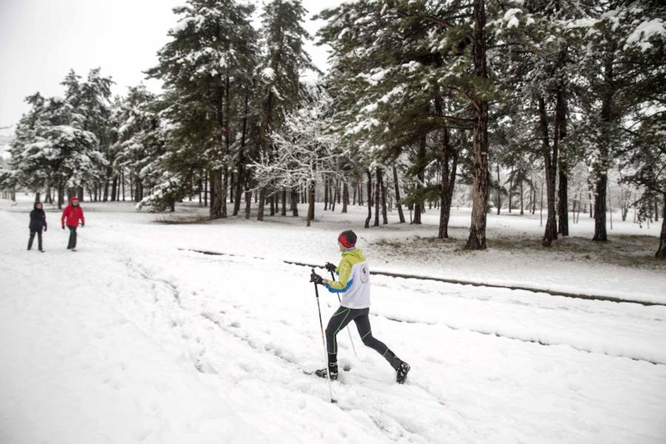 Un hombre aprovecha la nevada en Vitoria para practicar esquí nórdico. 