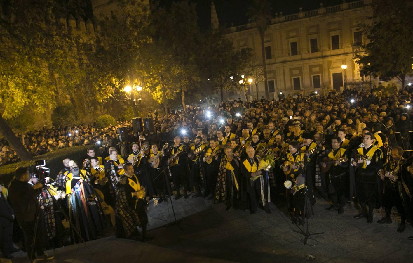 Los festejos por la Inmaculada Concepción, en imágenes